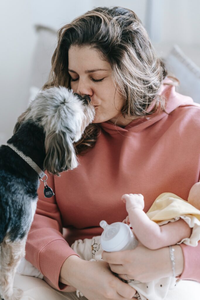 dog kissing woman